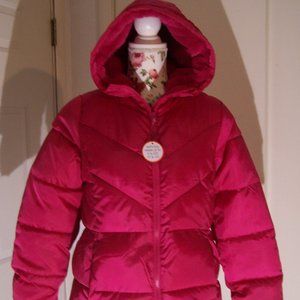 WONDER NATION GIRLS QUILTED BUBBLE PUFFER JACKET XL 14-16 FLEECED LINED AND HOOD